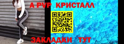 прущие грибы Гудермес