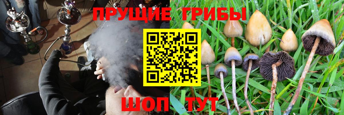 Галлюциногенные грибы мухоморы  Псилоцибиновые грибы Psilocybine cubensis  Вход с VPN  Ростов-на-Дону 