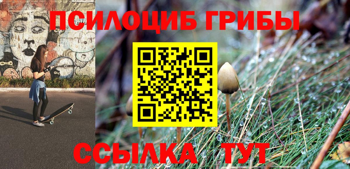 Галлюциногенные грибы Psilocybine cubensis Ростов-на-Дону